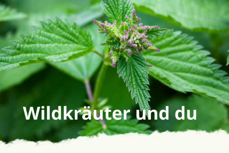 Wildkräuter